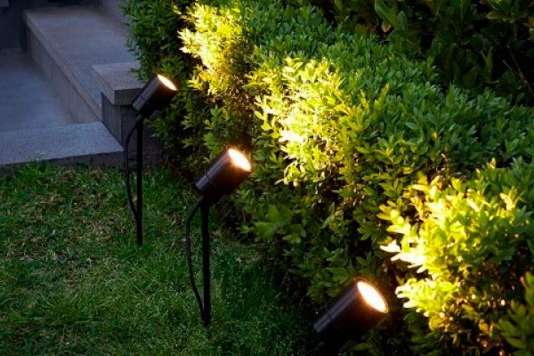 Garden Spikes